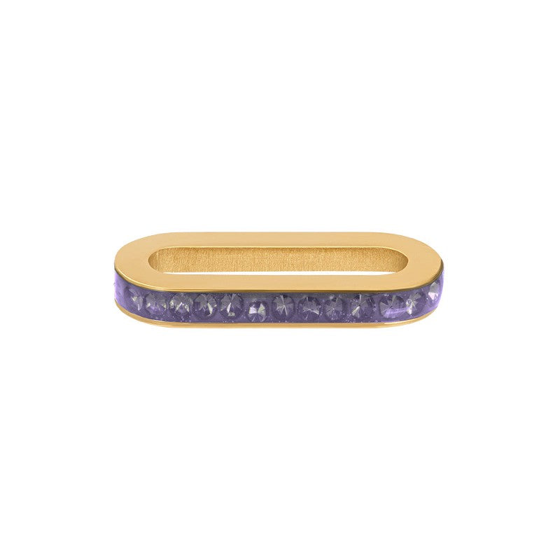 Schakel Zirconia Tanzanite Goud ixxxi Connect