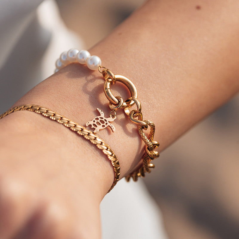 Bedel Turtle Goud iXXXi Connect
