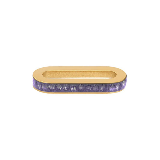 Schakel Zirconia Tanzanite Goud ixxxi Connect